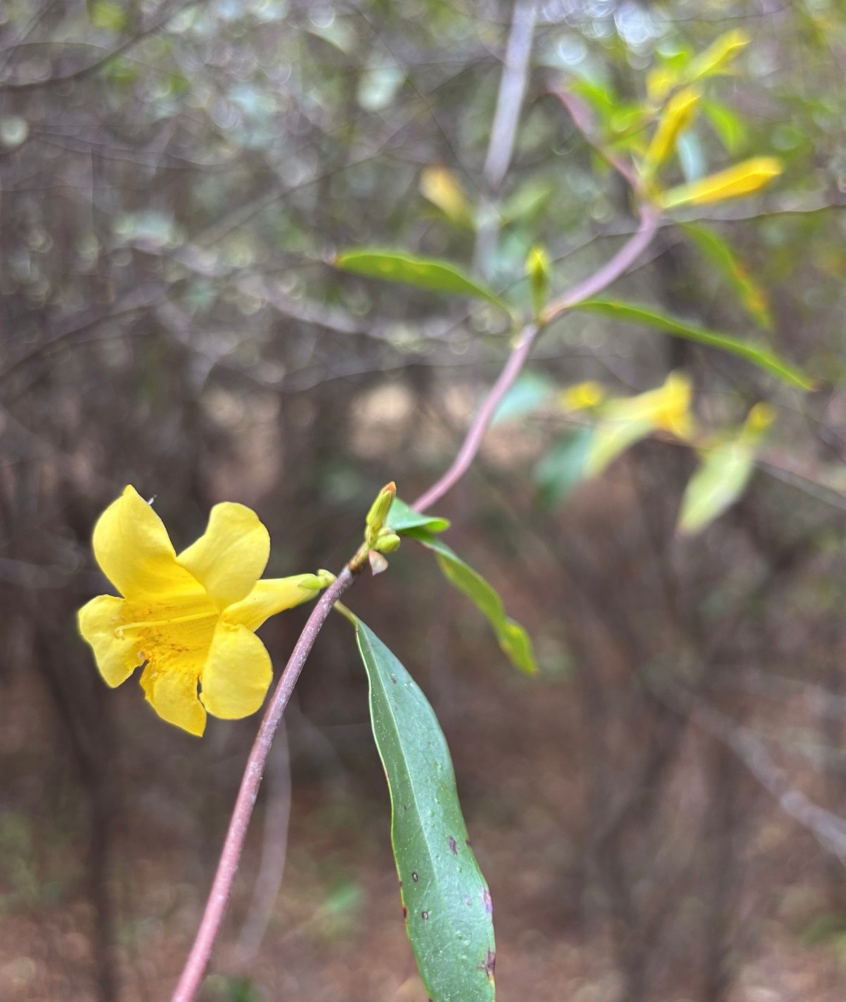 Shhh … Silent Sunday.&nbsp;2/22/26