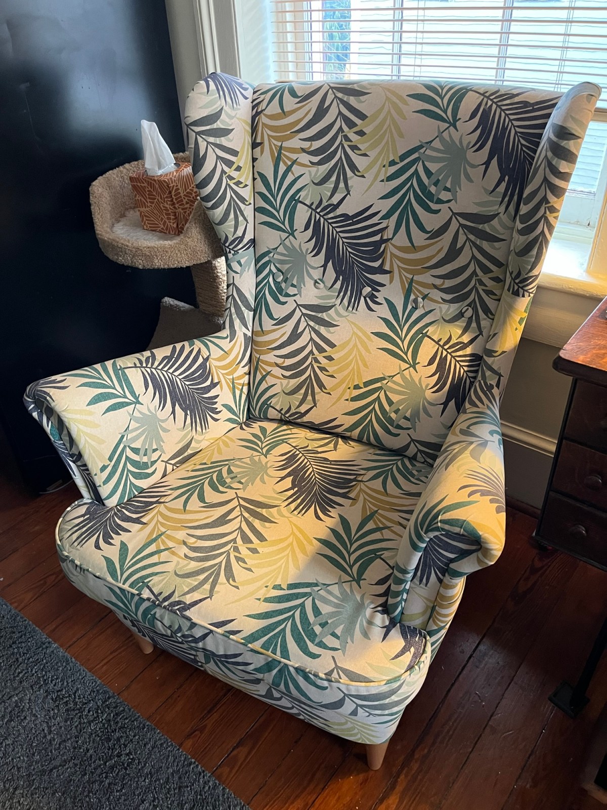 Five Friday Happy Bringers&nbsp;2/27/26