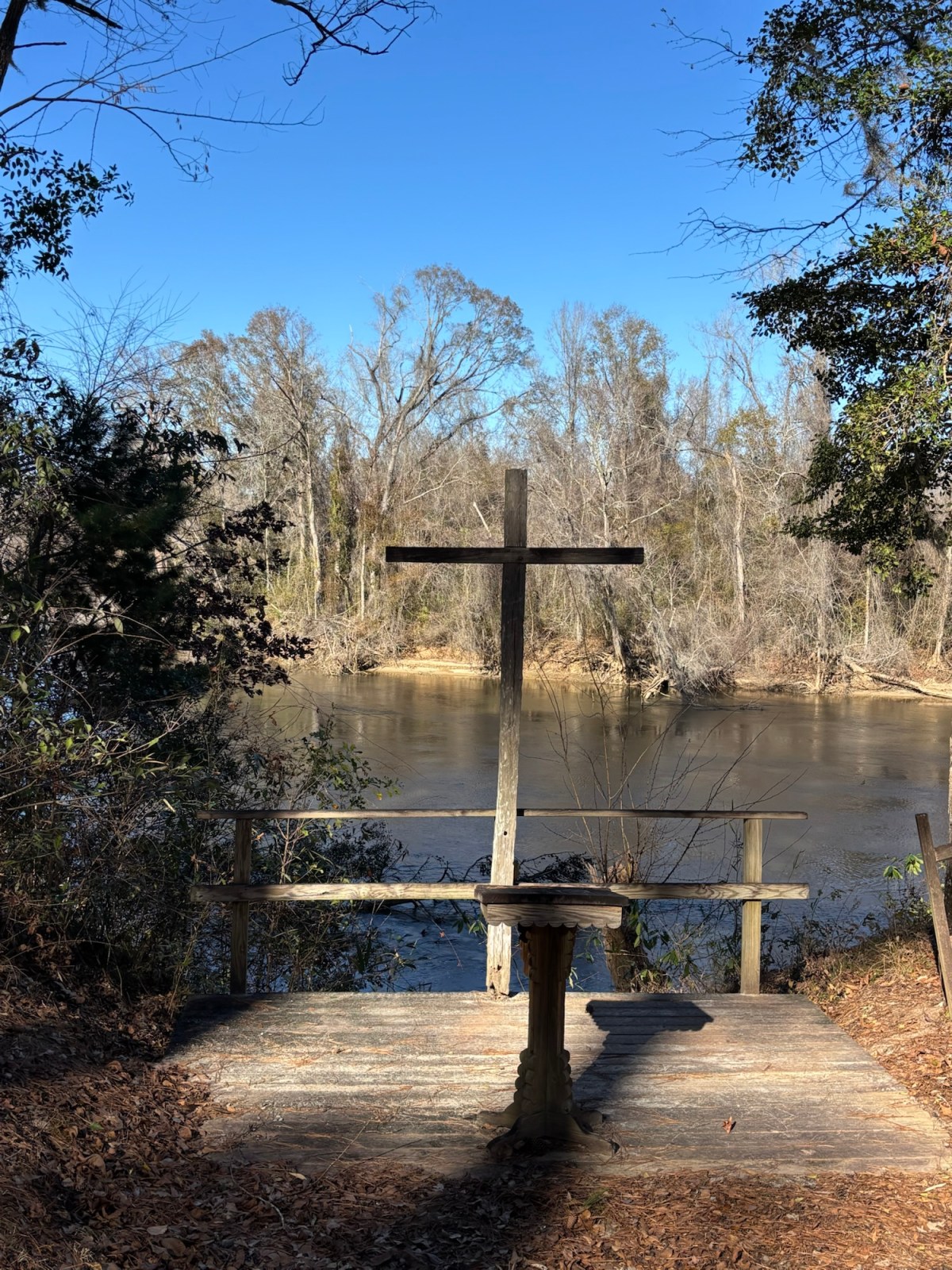 Shhh … Silent Sunday.&nbsp;2/8/26