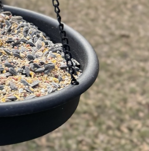 Five Friday Happy Bringers&nbsp;3/6/26