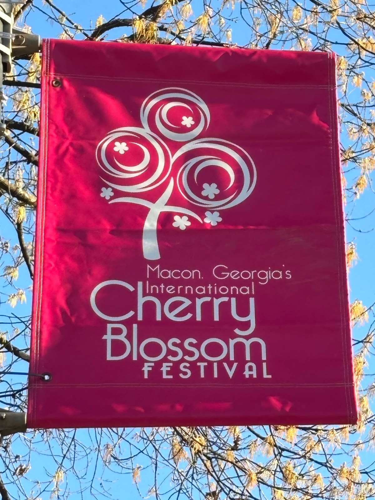 Thursday Doors: My First&nbsp;Post