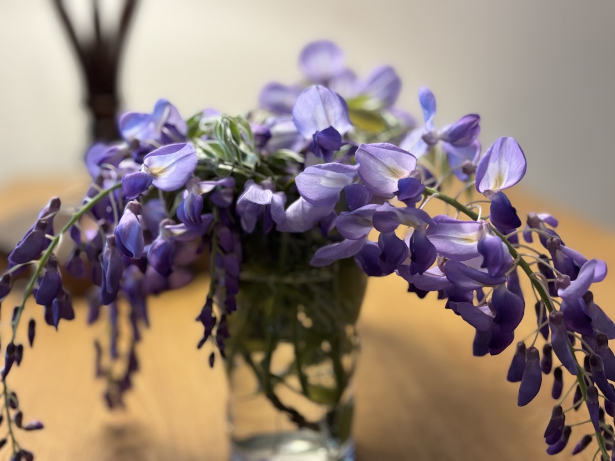 St. Patrick’s Day&nbsp;Away