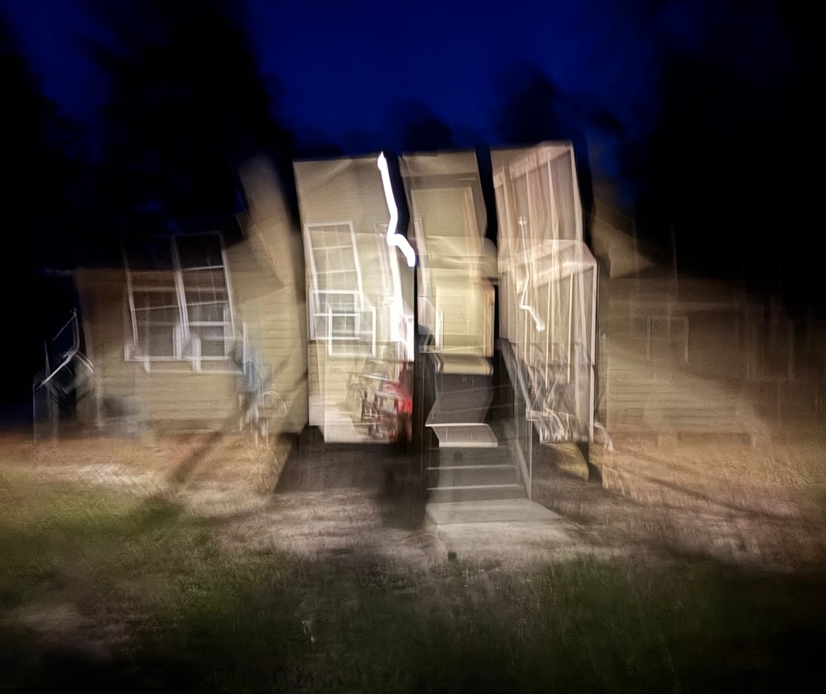 Shhh … Silent Sunday&nbsp;3/29/26