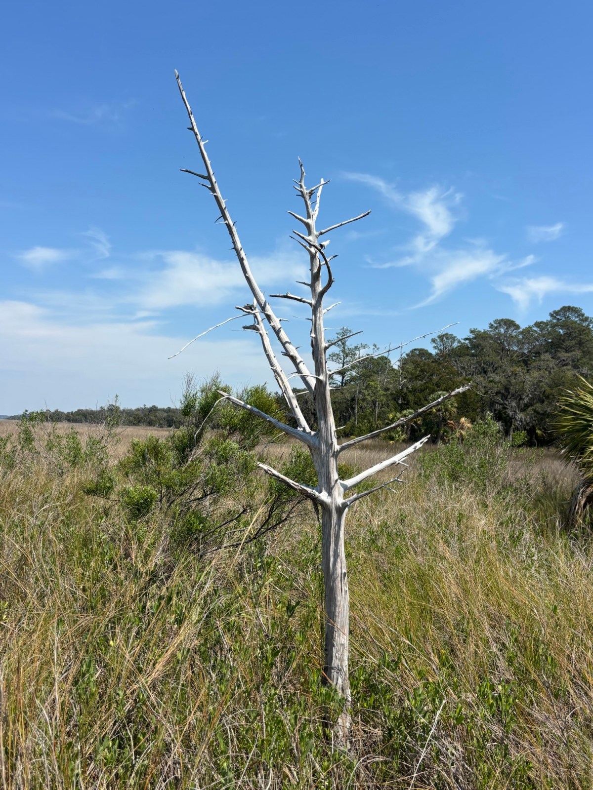 Five Friday Happy Bringers&nbsp;3/27/26