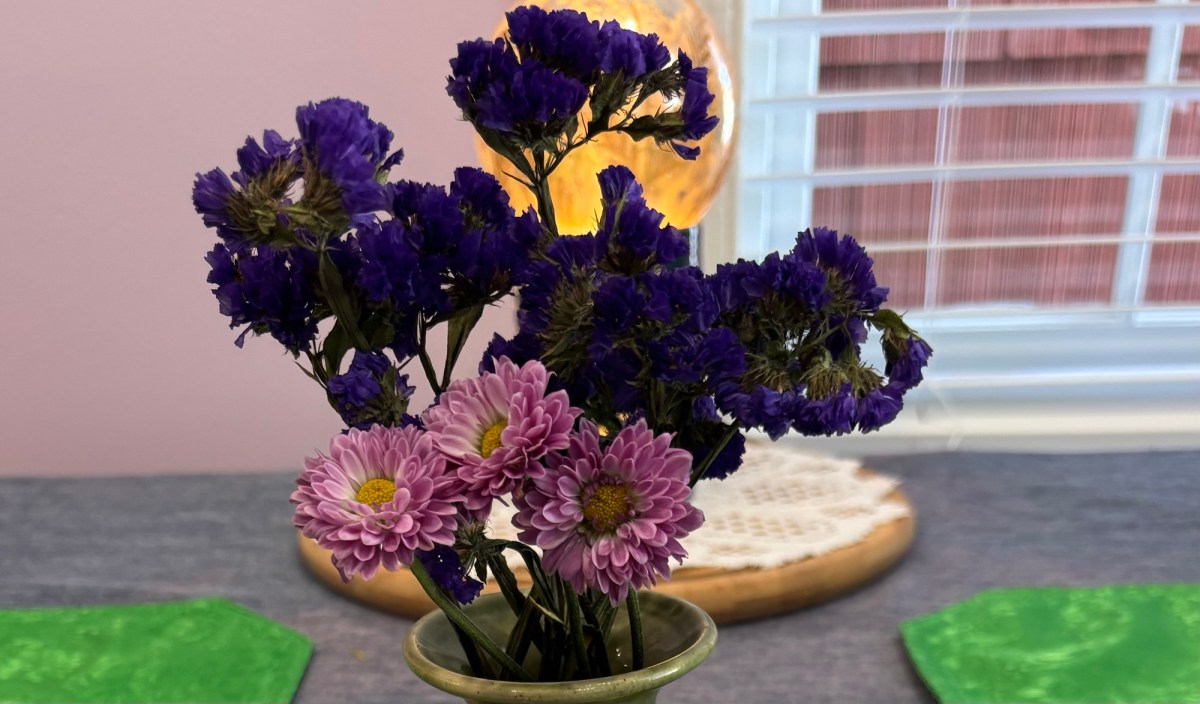 Cellpic Sunday: “Cookies, Personified”&nbsp;4/12/26