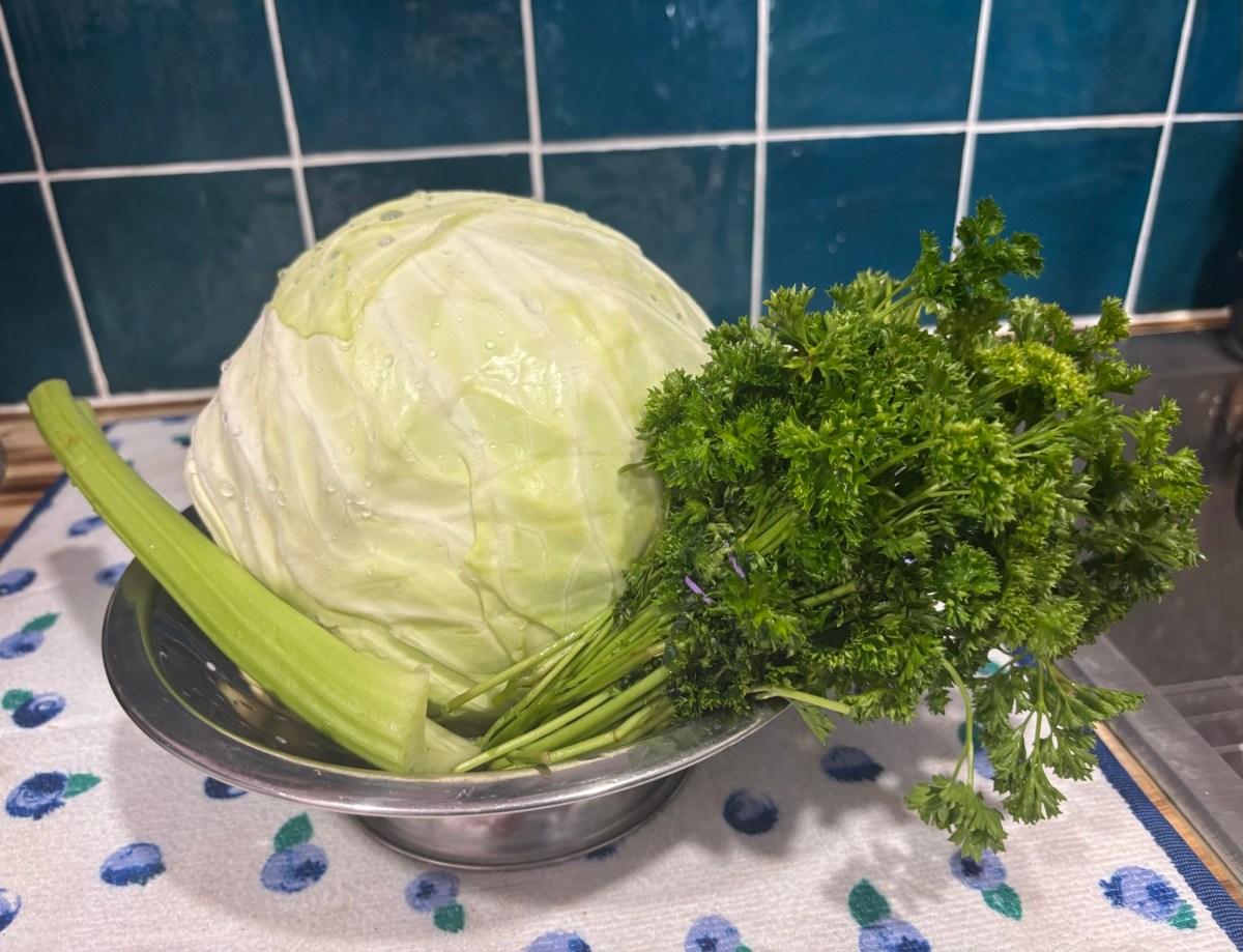 One Word Wednesday&nbsp;4/15/26