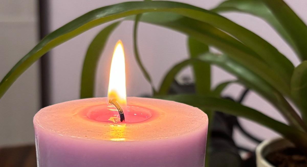 Shhh … Silent Sunday&nbsp;4/26/26