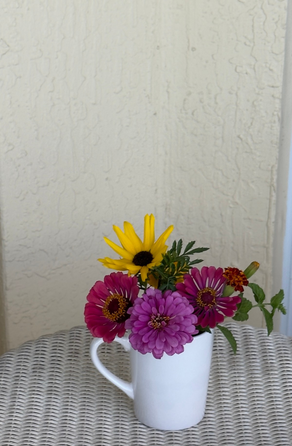 Shhh … Silent Sunday&nbsp;7/26/26