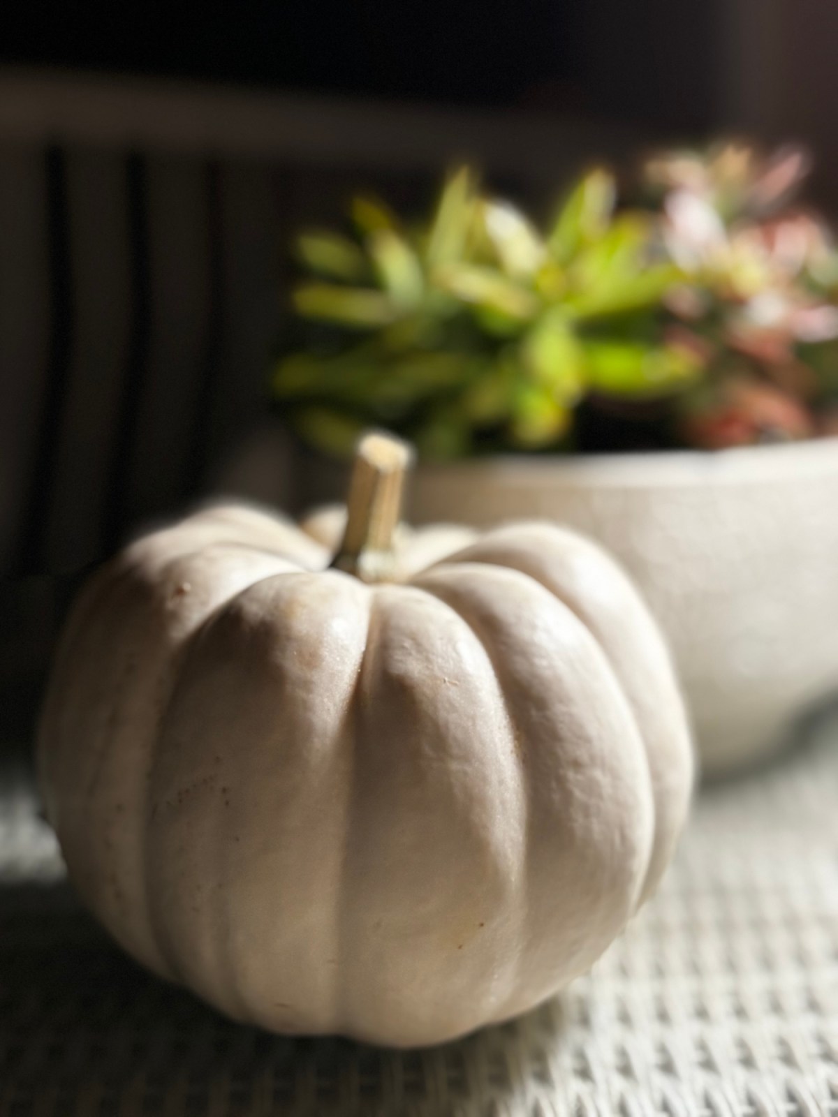 Shhh … Silent Sunday&nbsp;9/20/26